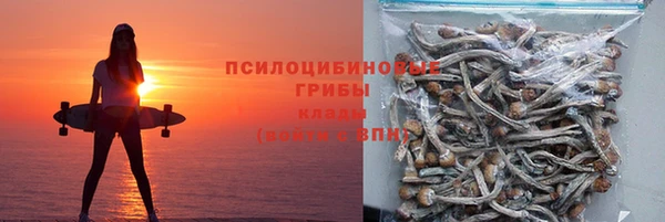 спайс Алексин