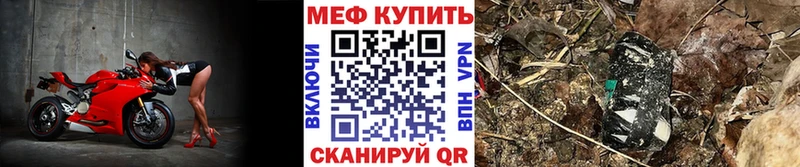 МЯУ-МЯУ мяу мяу  Жиздра 